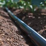 Mangueira Gotejamento 30cm 5000 Metros 6000 1,60/h Ecodrip