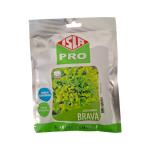 1000 Sementes de Alface Mimosa Brava - Alta Produução