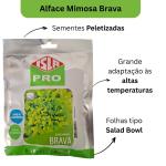 1000 Sementes de Alface Mimosa Brava - Alta Produução