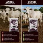 Fós Boi Matsuda 30kg - Suplemento Mineral para Bovinos de Corte